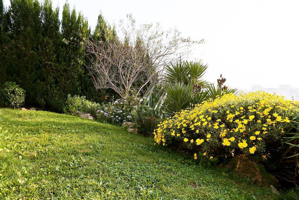 Villa Stephanie Mougins Exteriör bild